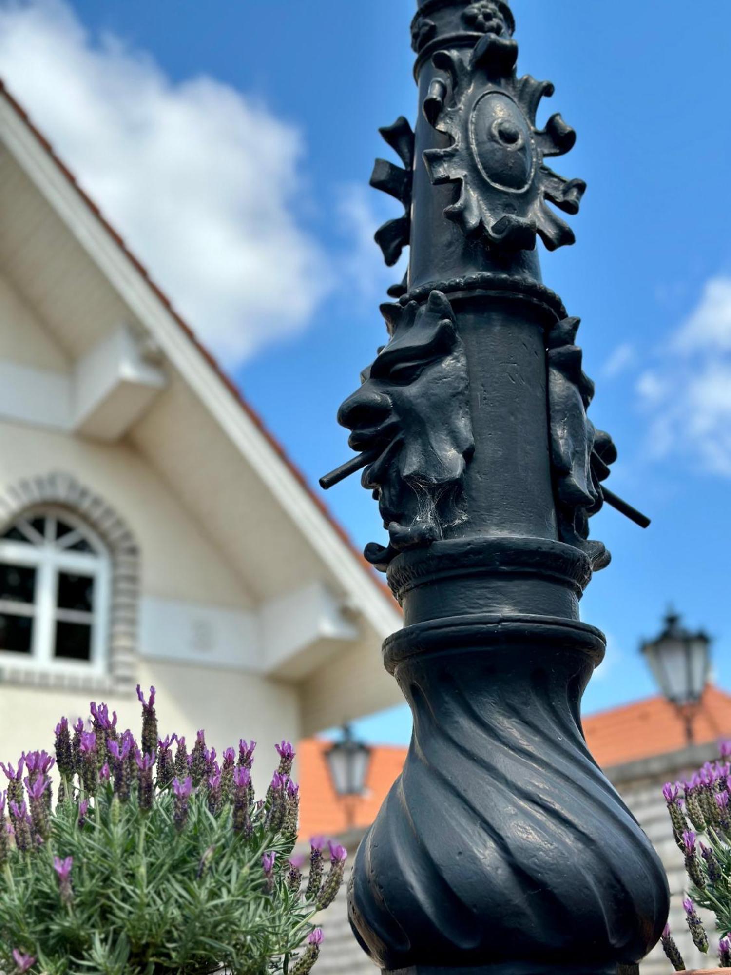 Hotel Éllő Panzió Veszprém Exterior foto